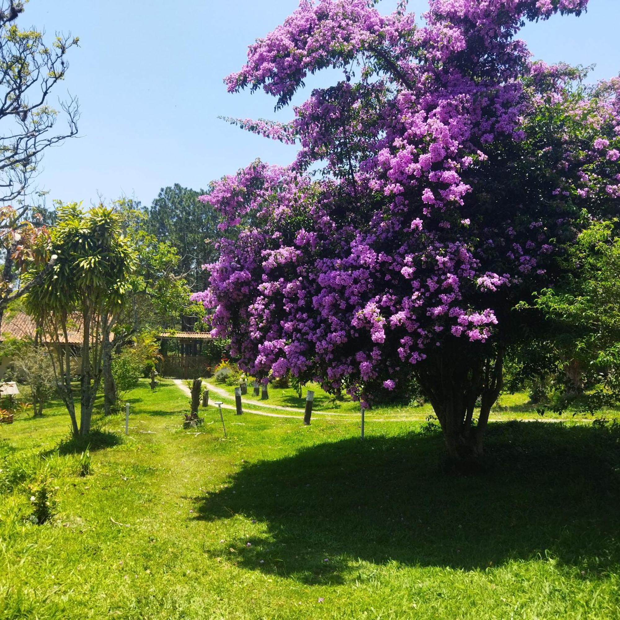 Chacara Aquila Villa Sao Roque  Ngoại thất bức ảnh